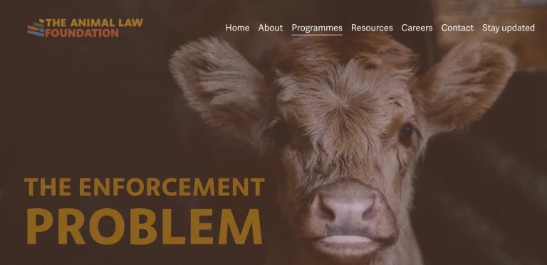 Report demands animal law enforcement reform