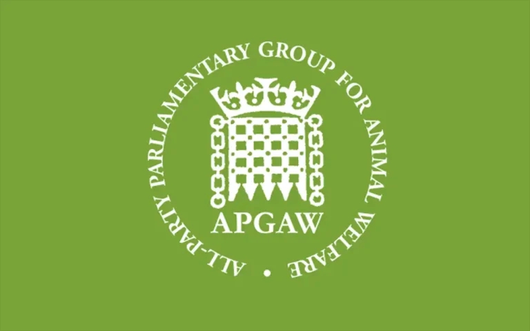 Call for action on welfare law enforcement