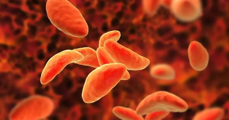 Rat study suggests parasite link to behaviour change