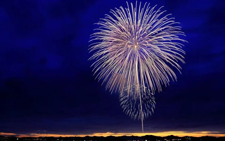 Scottish SPCA demands firework sale ban ahead of Hogmanay