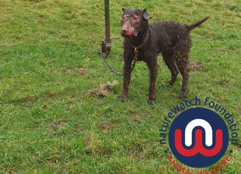 Major inspires new wildlife crime campaign