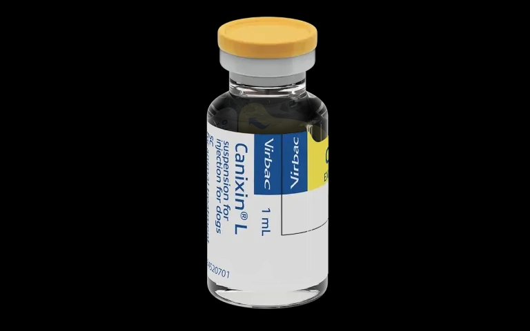 Virbac unveils new leptospirosis vaccine for dogs