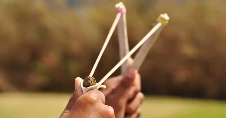 Minister rejects catapult attack law call