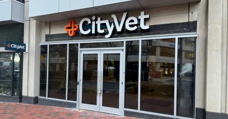 Vet’s practice ‘dream’ realised as CityVet opens Chevy Chase location