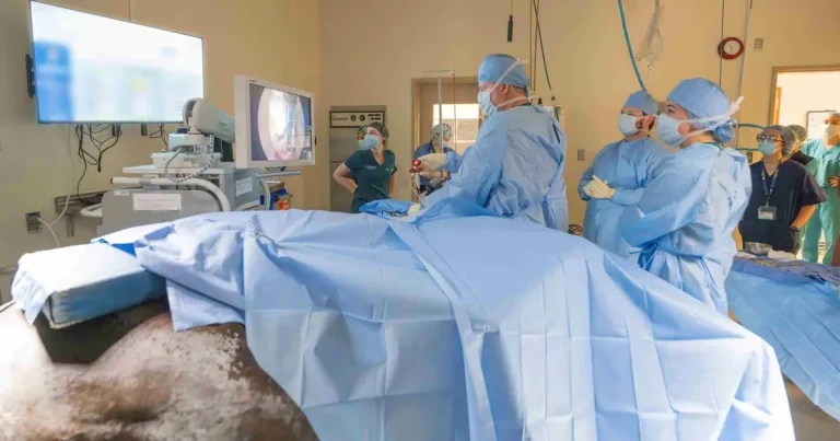 ‘Extremely specialised’ foraminotomy surgery available at UC Davis