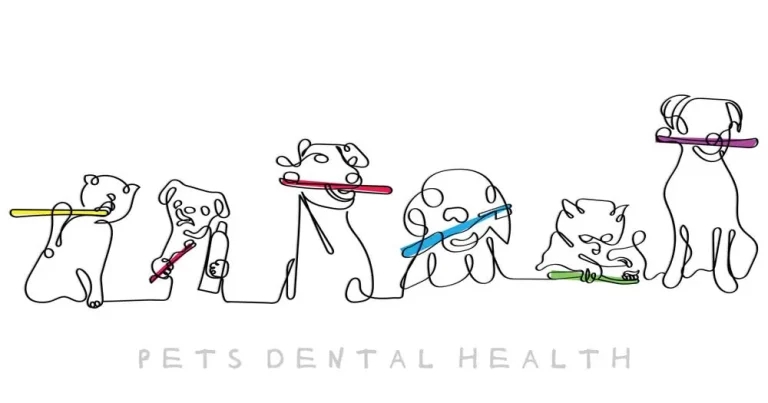 Oral health nursing clinics and engaging owners on prevention