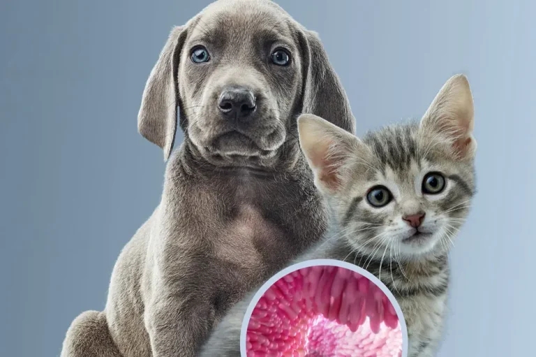 Clinicians invited to free microbiome webinar