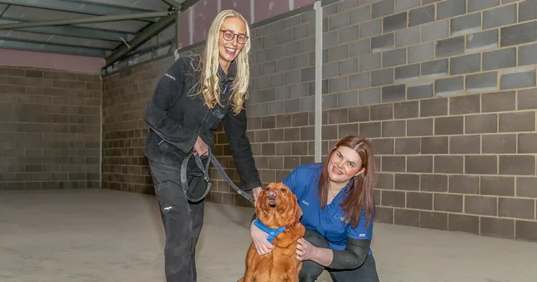 Sunderland vet gearing up for home town return