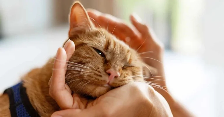 Contextualised care focus for one-day CPD event