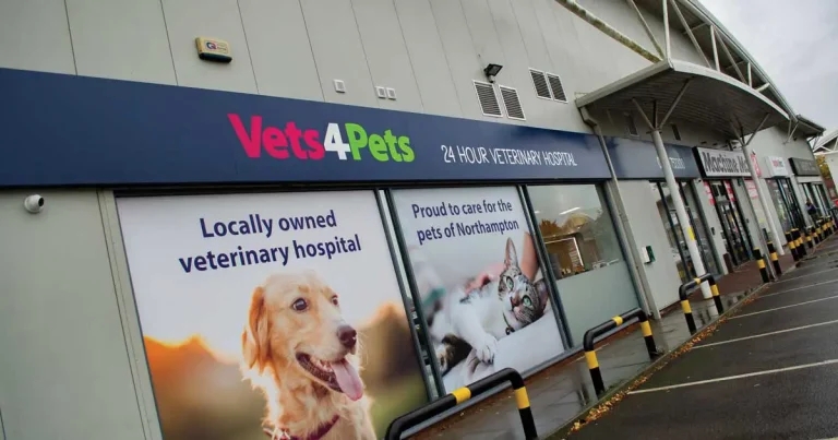 Practice Profile: Vets4Pets Northampton