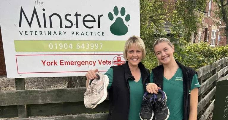 VetPartners celebrates record fund-raising year for 2025