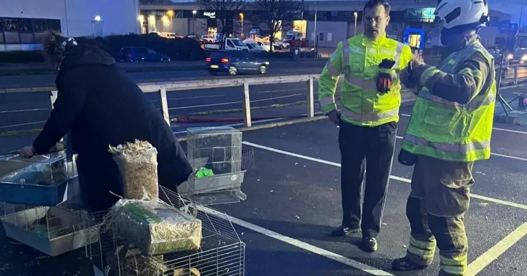 Fire service rescues 44 animals in Essex blaze