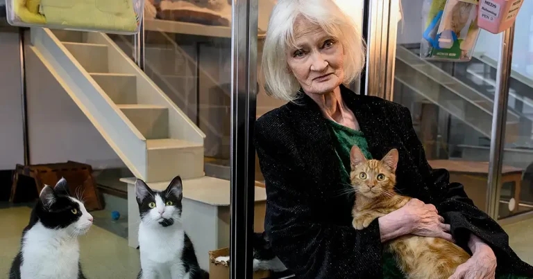 Charity launches £500k rescue centre appeal