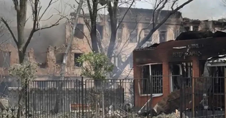 Ukraine vets appeal for help as rabies cases rise