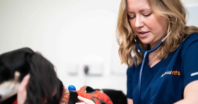 European group acquires first UK practices