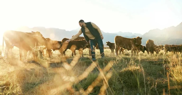 ‘Concerning’ bird flu study findings prompt ‘essential’ surveillance call