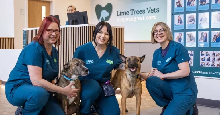 IVC Evidensia unveils new branding for UK practices