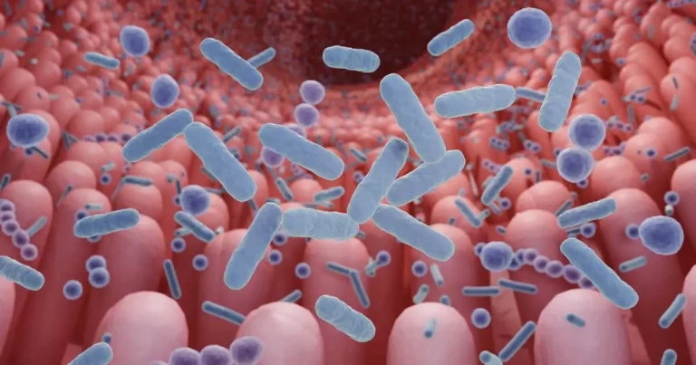 Study offers ‘dramatic increase’ in knowledge of canine microbiome