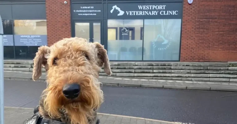 Scottish veterinary group opens fourth practice