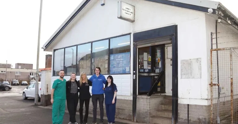 Building work to transform 116-year-old veterinary practice