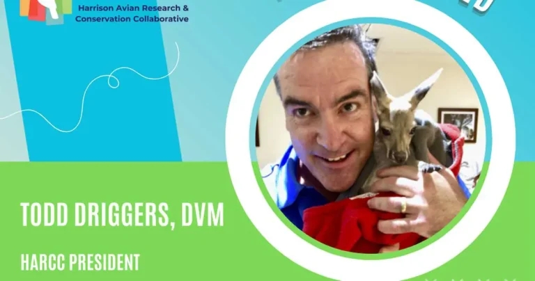 HARCC announces respected avian clinician as new president