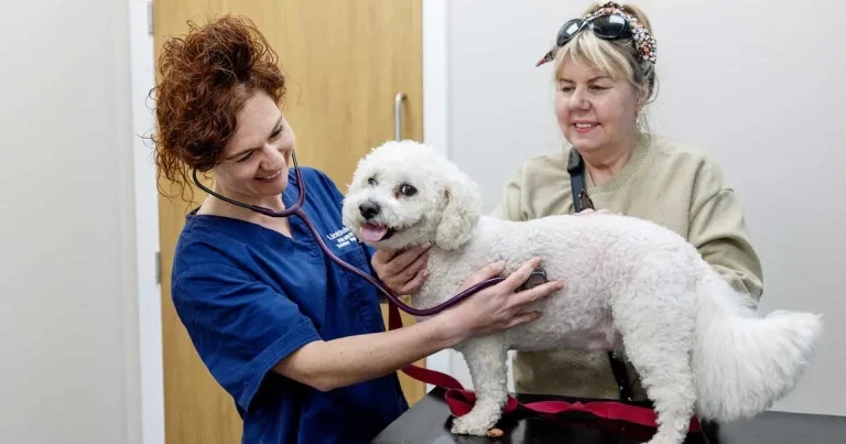 CVS launches collaborative care project