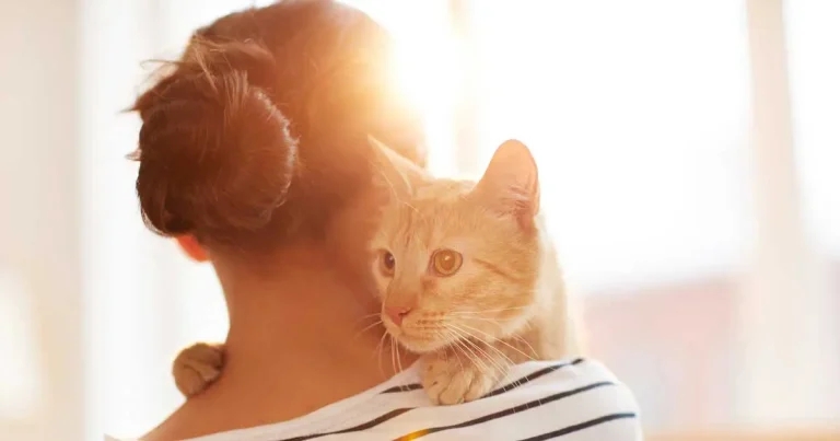 Caregivers as partners – best practice for osteoarthritis clinics