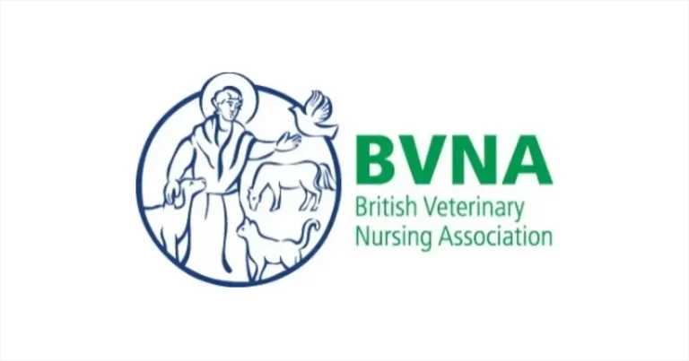 BVNA joins last-minute VSA consult response calls