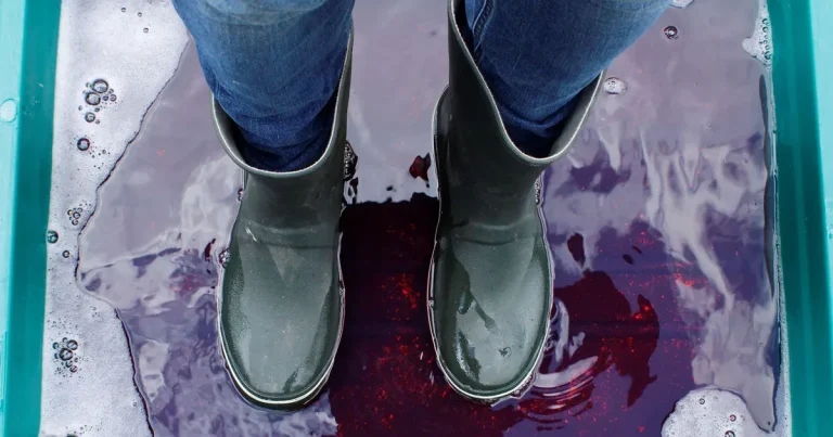 Pig biosecurity survey aims to assess disease threat risk