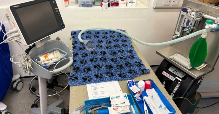 Recognising seizures and other common neurological conditions