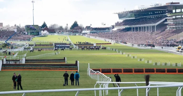 RSPCA demands lessons are learned from Cheltenham Festival fatalities