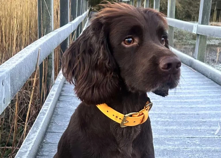 Edinburgh hospital issues awareness plea after fish hook cases