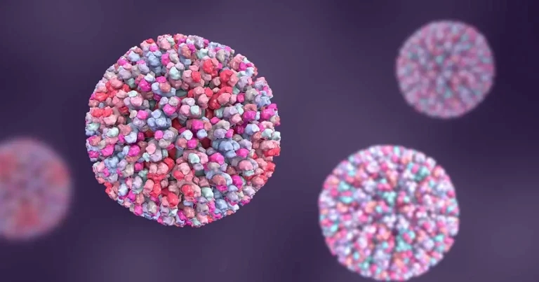 Bluetongue: latest on European and UK status, plus vaccination