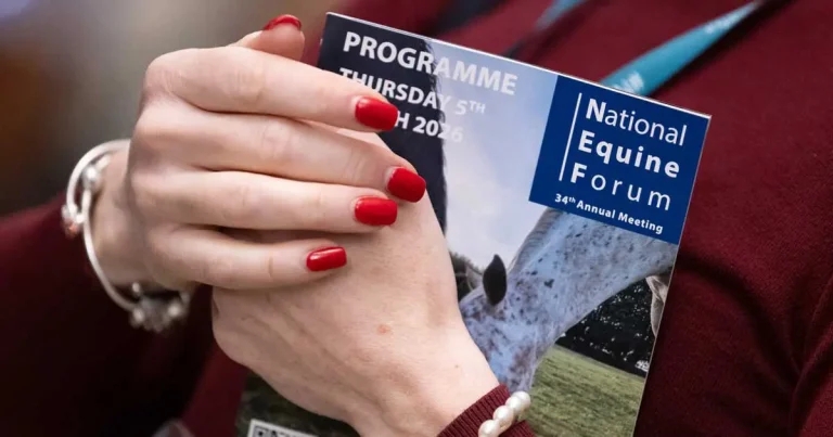 Collaboration championed at NEF26