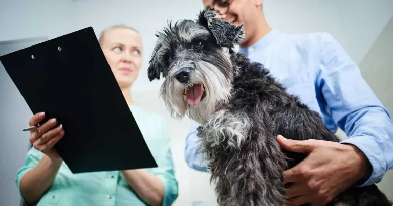 Anger at Spartacus health club branding legal case ‘uncertainty’