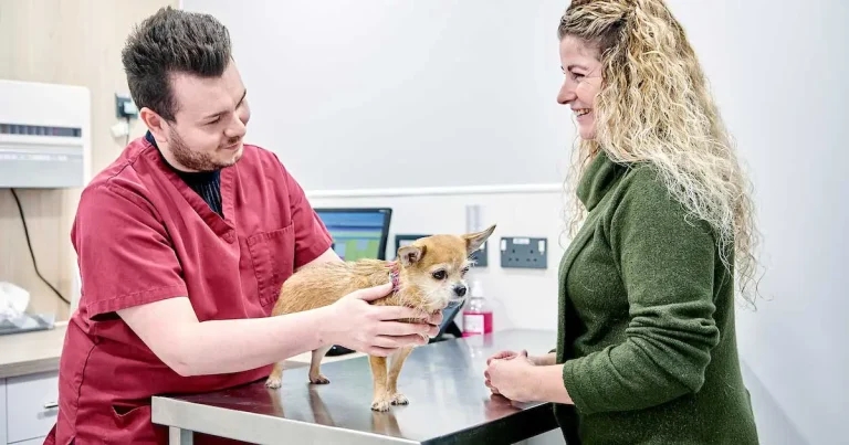 CVS launches nurse optimisation PhD