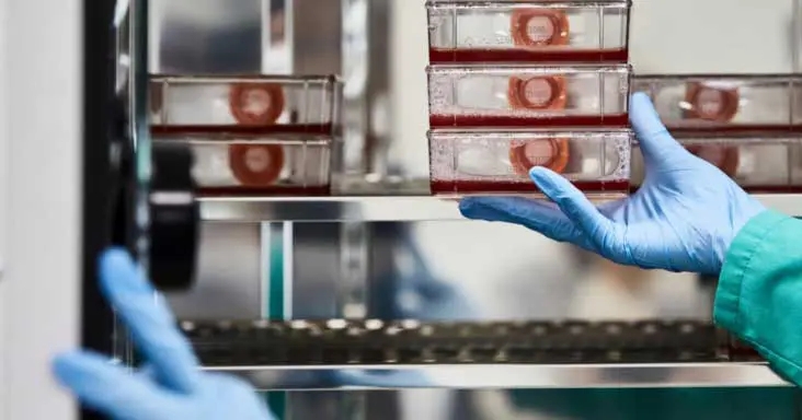 ‘Breakthrough’ clinical results in cat cancer test