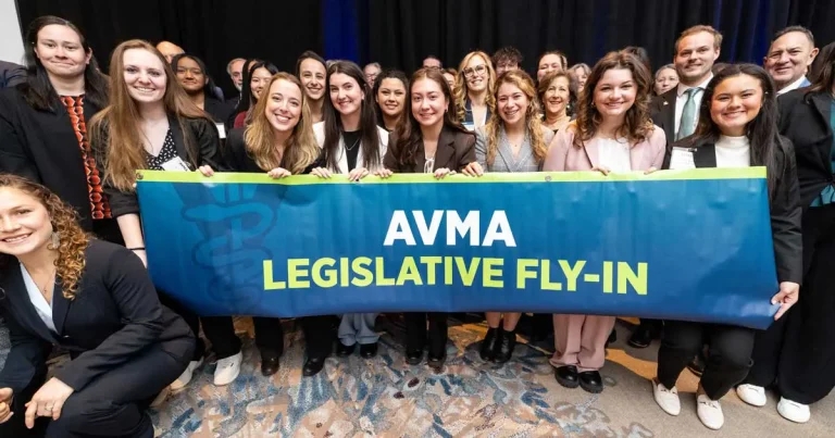 ‘We cannot afford to wait’: AVMA urges US Congress to back key veterinary legislation