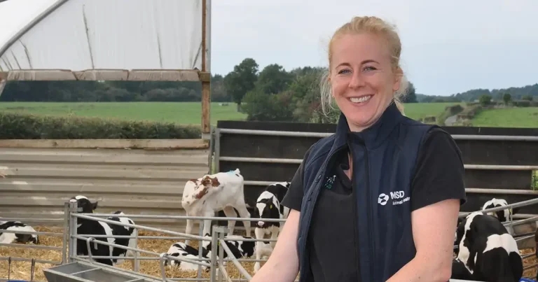 Vet urges farmers to share colostrum experiences in national survey
