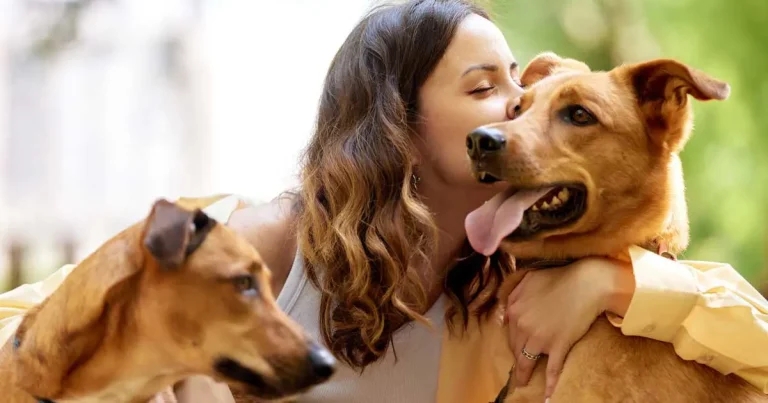 Pet insurance: supporting client discussions around cost of care