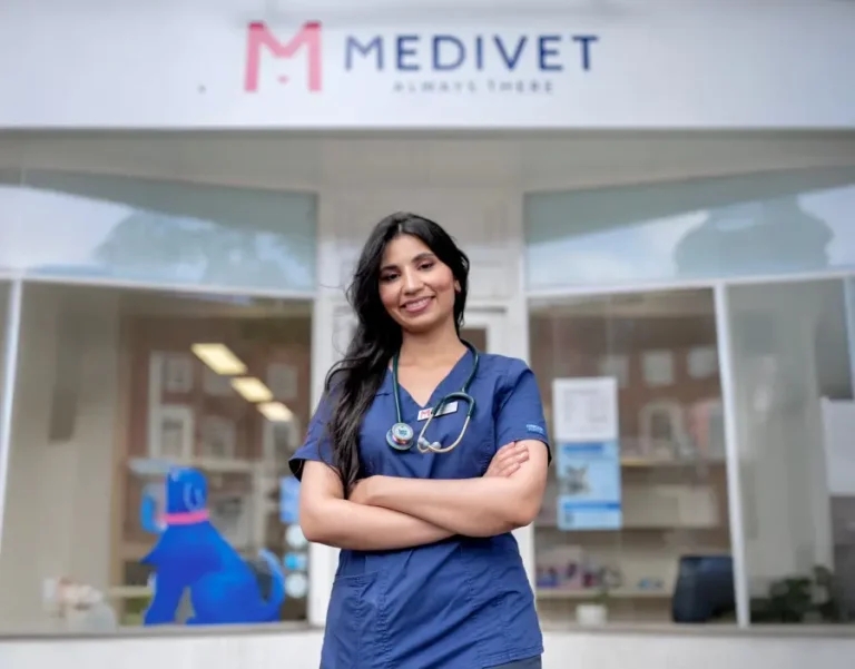 Owning a clinic without going it alone: how partnership models are reshaping veterinary ownership