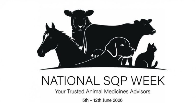 National SQP week toolkit launches