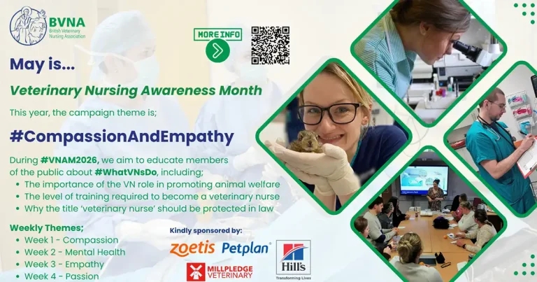 BVNA to celebrate ‘unsung heroes’ of vet nursing in VNAM 2026