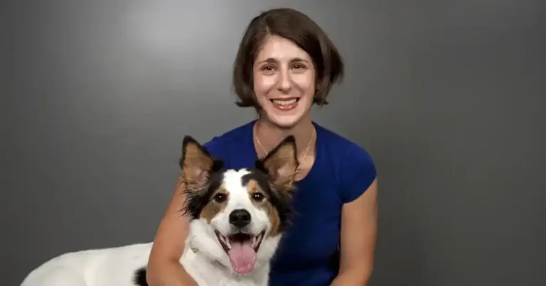 Zoetis announces first AI analyser update