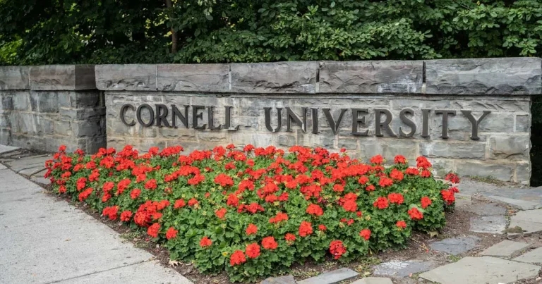 Canine genomic data science course returns to Cornell University