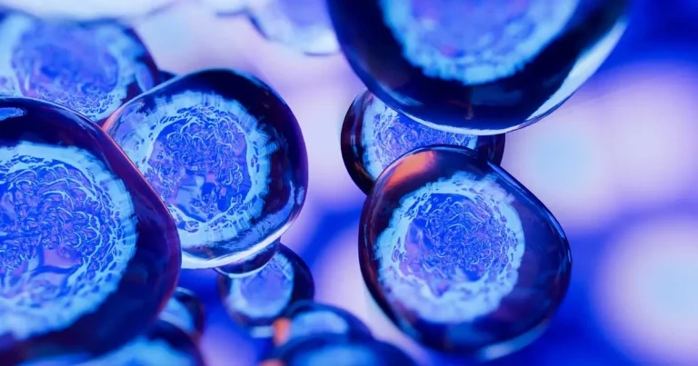 Stem cell therapy hope raised for treatment of OA in cats and dogs