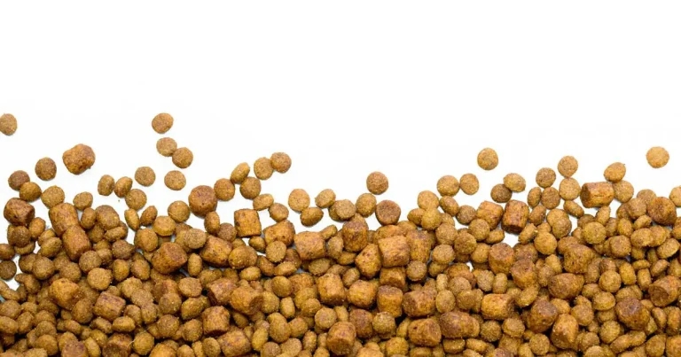 Nutrition: guidance for cats and dogs, including latest on diets