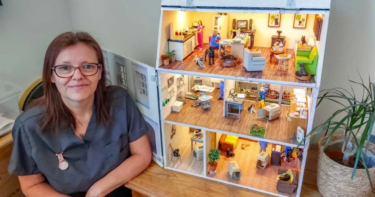 Not just ‘mini vets’: VN’s 3D print practice creation goes on show