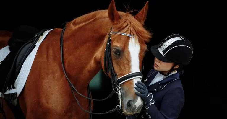 More sports introduce equine influenza rules