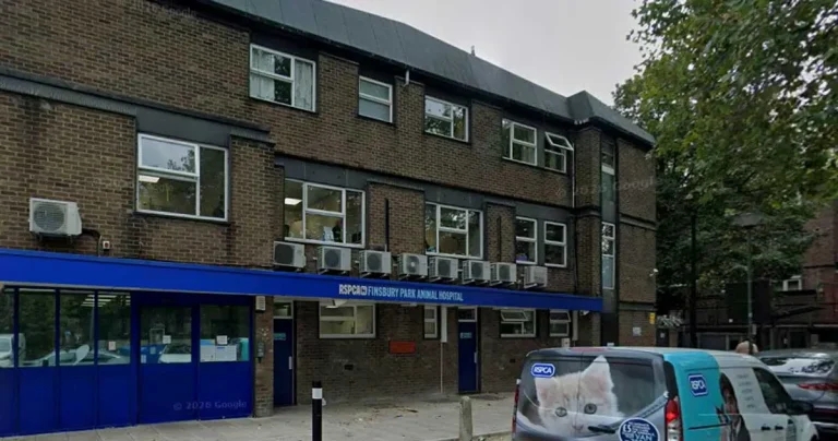 RSPCA hospital to shut in new welfare ‘hub’ plan